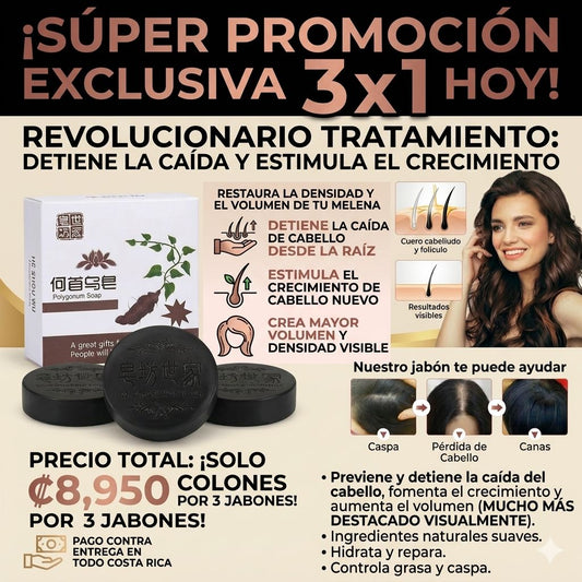 3x1 Tratamiento de polygonum para el cabello